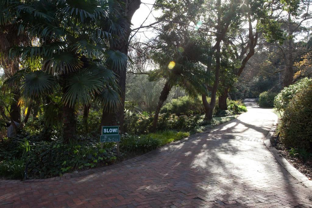 Viettz Suite Stellenbosch Exterior foto